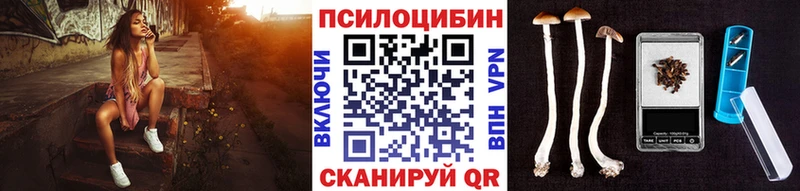 Галлюциногенные грибы Psilocybine cubensis  KRAKEN зеркало  Каспийск 